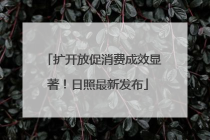 扩开放促消费成效显著！日照最新发布