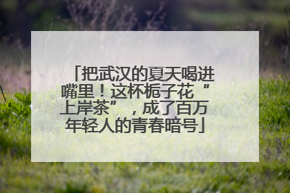 把武汉的夏天喝进嘴里！这杯栀子花“上岸茶”，成了百万年轻人的青春暗号