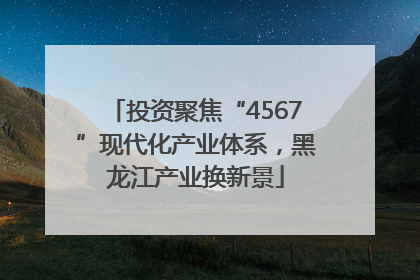 投资聚焦“4567”现代化产业体系，黑龙江产业换新景