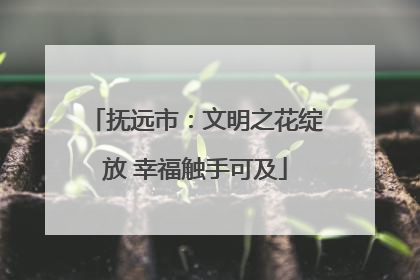 抚远市：文明之花绽放 幸福触手可及