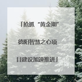 抢抓“黄金期” 德阳智慧之心项目建设加速推进