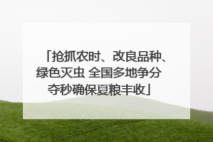 抢抓农时、改良品种、绿色灭虫 全国多地争分夺秒确保夏粮丰收
