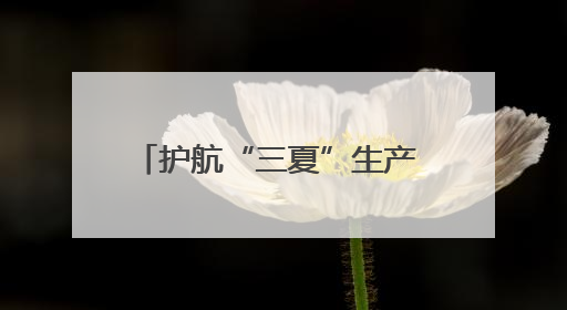 护航“三夏”生产 筑牢粮食安全屏障