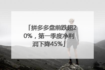 拼多多盘前跌超20%，第一季度净利润下降45%