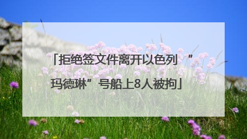 拒绝签文件离开以色列 “玛德琳”号船上8人被拘