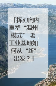 挥刃向内重塑“温州模式” 老工业基地如何从“新”出发？