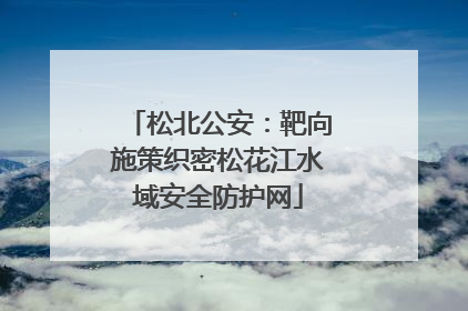 松北公安：靶向施策织密松花江水域安全防护网