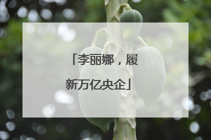 李丽娜，履新万亿央企