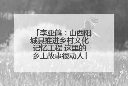 李亚鹤：山西阳城县推进乡村文化记忆工程 这里的乡土故事很动人