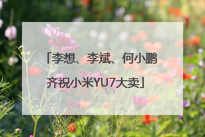 李想、李斌、何小鹏齐祝小米YU7大卖