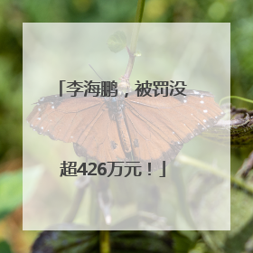 李海鹏，被罚没超426万元！