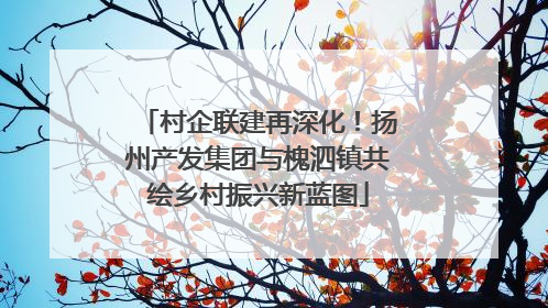 村企联建再深化！扬州产发集团与槐泗镇共绘乡村振兴新蓝图