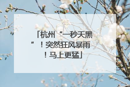 杭州“一秒天黑”！突然狂风暴雨！马上更猛