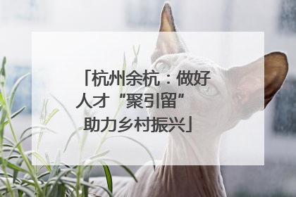 杭州余杭：做好人才“聚引留” 助力乡村振兴