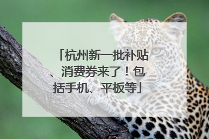 杭州新一批补贴、消费券来了！包括手机、平板等