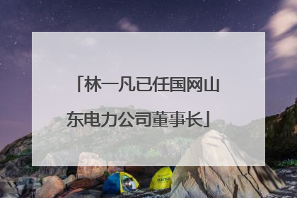 林一凡已任国网山东电力公司董事长