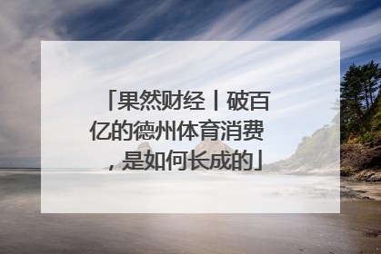 果然财经丨破百亿的德州体育消费，是如何长成的
