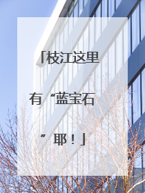 枝江这里有“蓝宝石”耶！