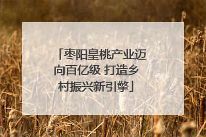 枣阳皇桃产业迈向百亿级 打造乡村振兴新引擎