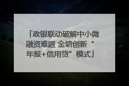 政银联动破解中小微融资难题 金塘创新“年报+信用贷”模式