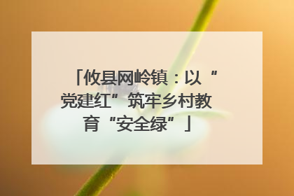 攸县网岭镇：以“党建红”筑牢乡村教育“安全绿”