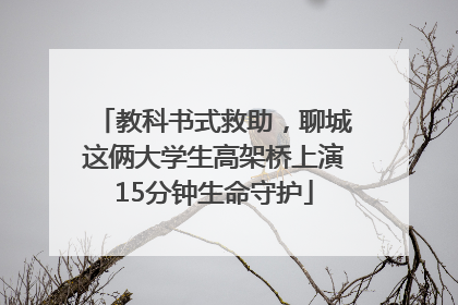 教科书式救助，聊城这俩大学生高架桥上演15分钟生命守护