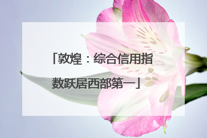 敦煌：综合信用指数跃居西部第一