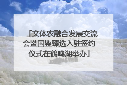 文体农融合发展交流会暨国鉴臻选入驻签约仪式在鹤鸣湖举办