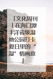 文化周刊丨在海口潭丰洋省级湿地公园打卡夏日里的“湿”情画意
