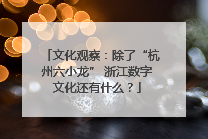 文化观察：除了“杭州六小龙” 浙江数字文化还有什么？
