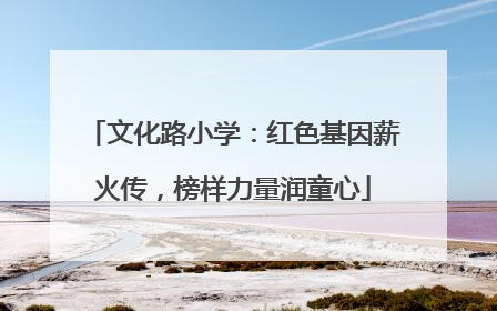 文化路小学：红色基因薪火传，榜样力量润童心