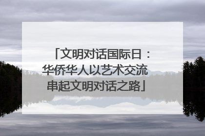 文明对话国际日：华侨华人以艺术交流串起文明对话之路