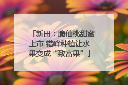 新田：脆仙桃甜蜜上市 错峰种植让水果变成“致富果”