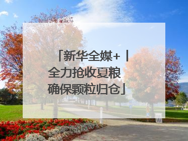 新华全媒+丨全力抢收夏粮 确保颗粒归仓