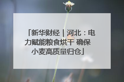 新华财经｜河北：电力赋能粮食烘干 确保小麦高质量归仓