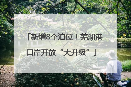 新增8个泊位！芜湖港口岸开放“大升级”