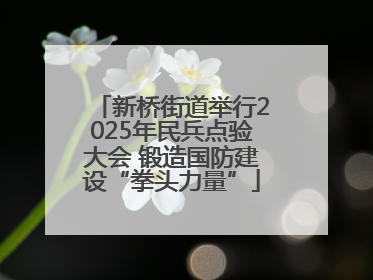 新桥街道举行2025年民兵点验大会 锻造国防建设“拳头力量”