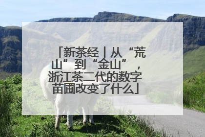 新茶经丨从“荒山”到“金山”，浙江茶二代的数字苗圃改变了什么