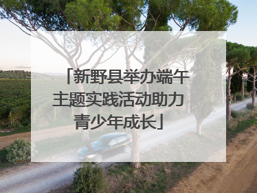 新野县举办端午主题实践活动助力青少年成长