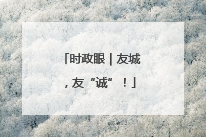 时政眼｜友城，友“诚”！