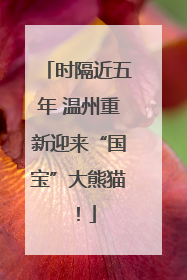 时隔近五年 温州重新迎来“国宝”大熊猫！
