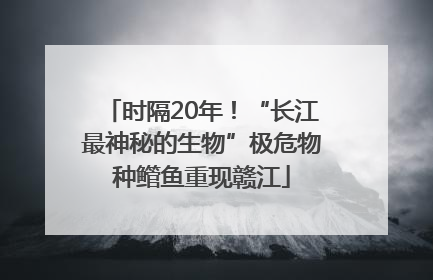 时隔20年！“长江最神秘的生物”极危物种鳤鱼重现赣江