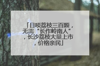 日啖荔枝三百颗，无需“长作岭南人”，长沙荔枝大量上市，价格亲民