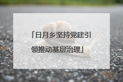 日月乡坚持党建引领推动基层治理