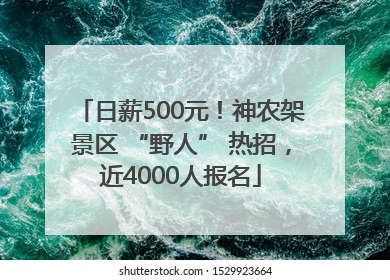 日薪500元！神农架景区 “野人” 热招，近4000人报名