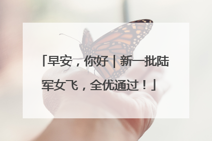 早安，你好｜新一批陆军女飞，全优通过！