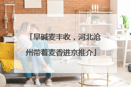 旱碱麦丰收，河北沧州带着麦香进京推介
