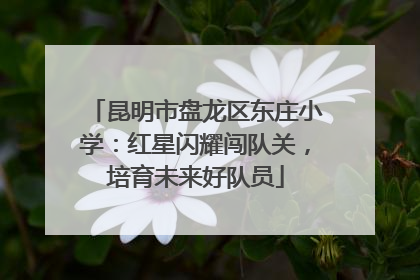 昆明市盘龙区东庄小学：红星闪耀闯队关，培育未来好队员