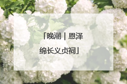 晚潮｜恩泽绵长义贞祠