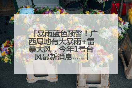 暴雨蓝色预警！广西局地有大暴雨+雷暴大风，今年1号台风最新消息……